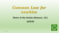 Common Law - for newbies.pdf